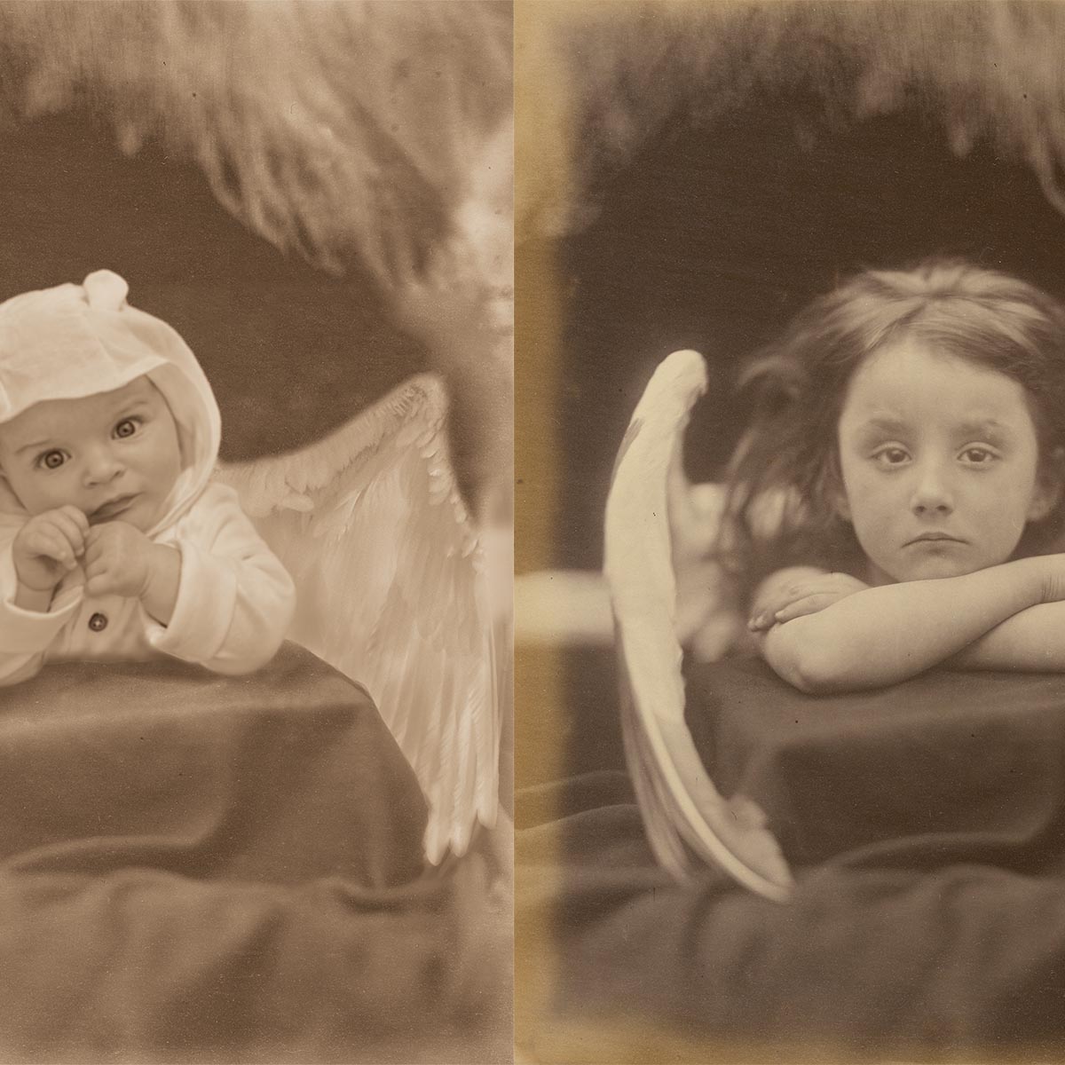 Comparison of two images: the left is a photograph of a baby with wings added on behind it. The right is a photograph of a child with wings behind her.